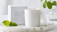 The White Company Wild Mint candle in ceramic white pot by box and mint plant