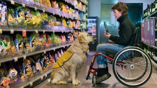 Service dog with wheelchair user in supermarket