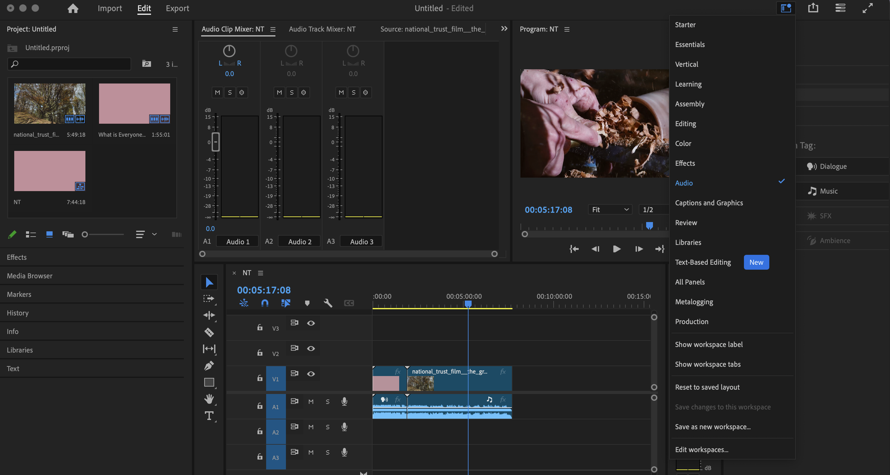 A screenshot from Adobe Premiere Pro in use