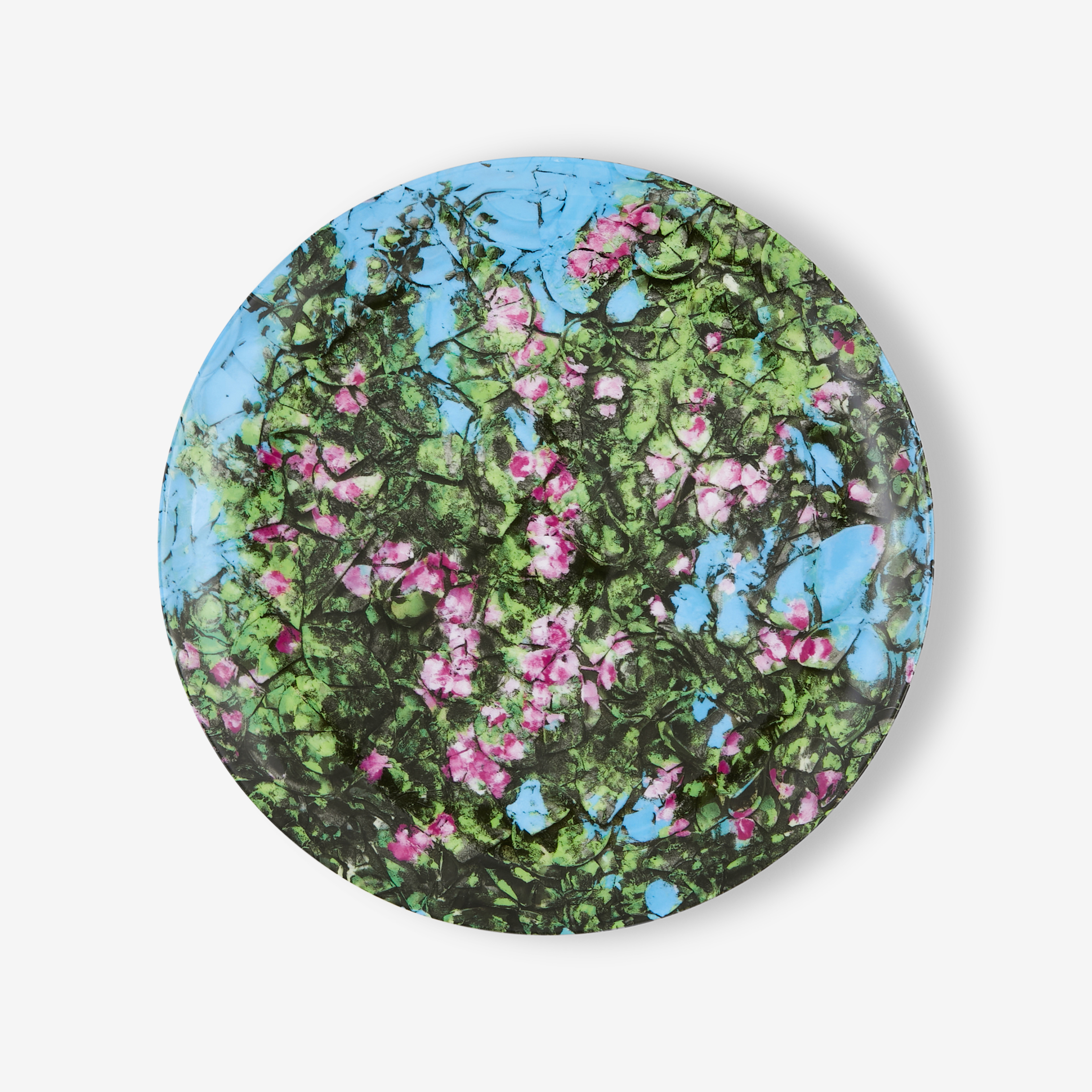 plate