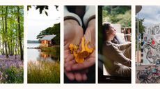 Collage of Finland lifestyle activities 