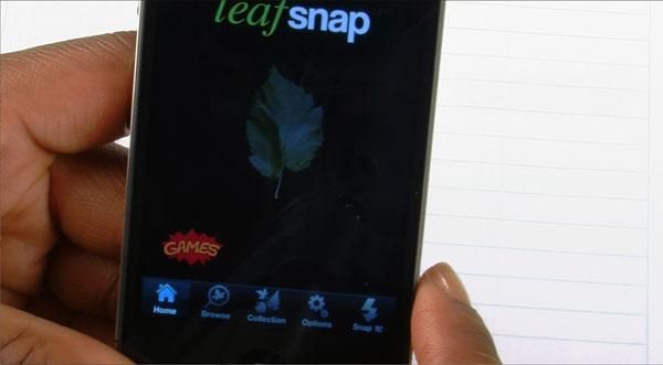 leafsnap-app-110503-02