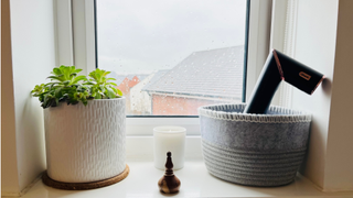 A windowsill with a pot plant and a storage basket on it.