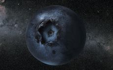 blueberry earth