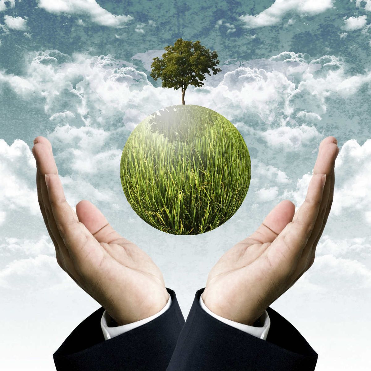 Two hands form a protective shield around a grassy globe with single tree.