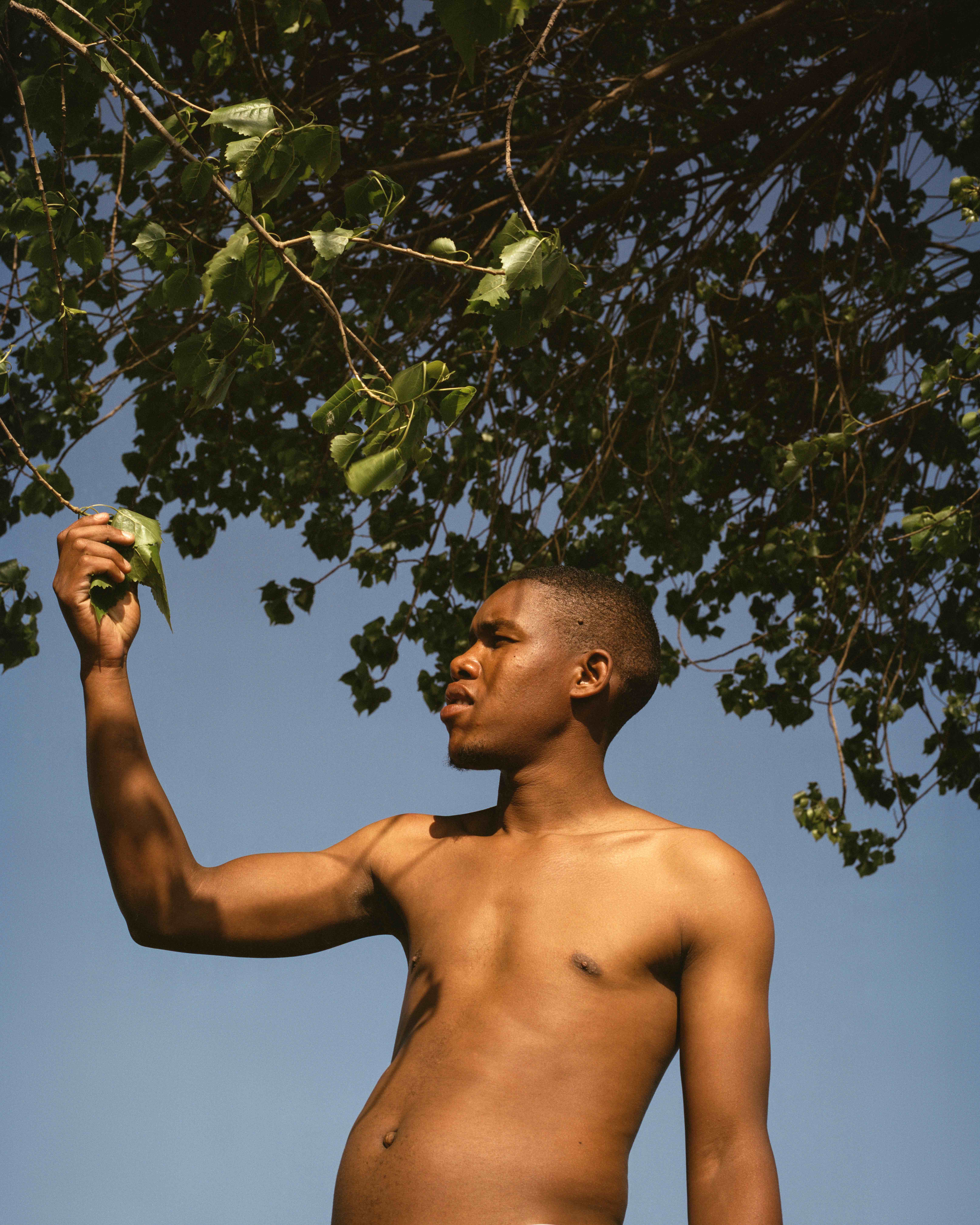 Veuve Clicquot Magnum Photos Emotions of the Sun: man picks fruit