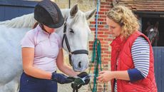 Pictured: a rider examining a horse passport.