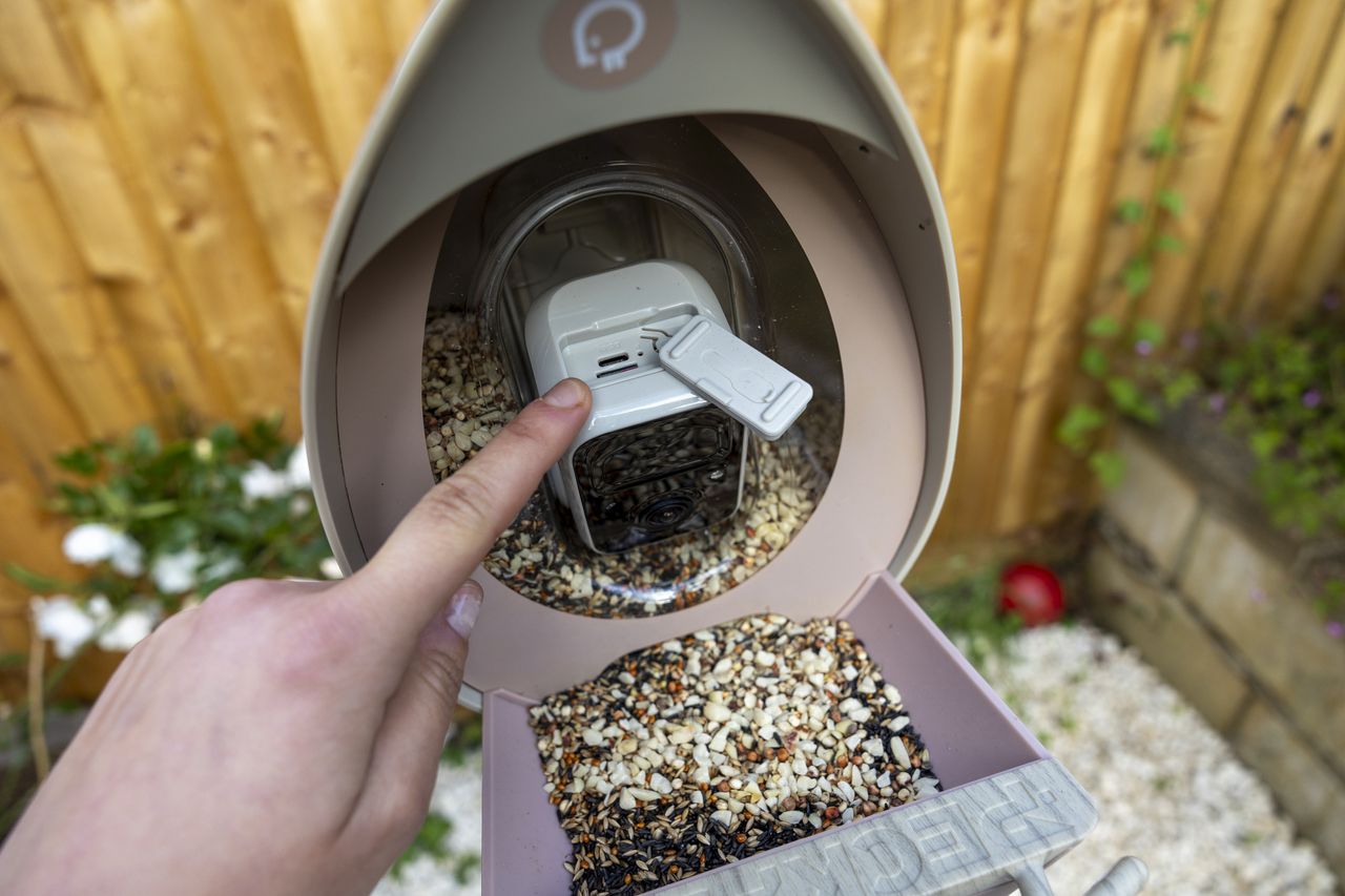 The PeckPerk bird feeder on a tripod in a small English garden