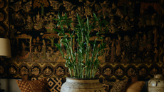 a close up image of lucky bamboo spirals styled in a large vessel in front of a dark, detailed wall mural with a sofa and lamp shade in front and an empty vessel in the corner