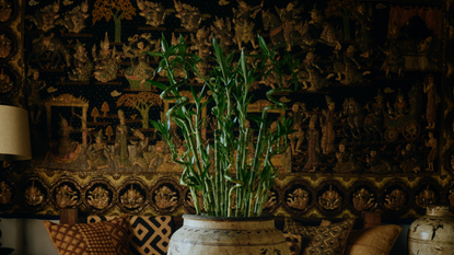 a close up image of lucky bamboo spirals styled in a large vessel in front of a dark, detailed wall mural with a sofa and lamp shade in front and an empty vessel in the corner