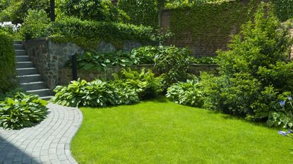 Lush green lawn with large shrub borders and curved stone path