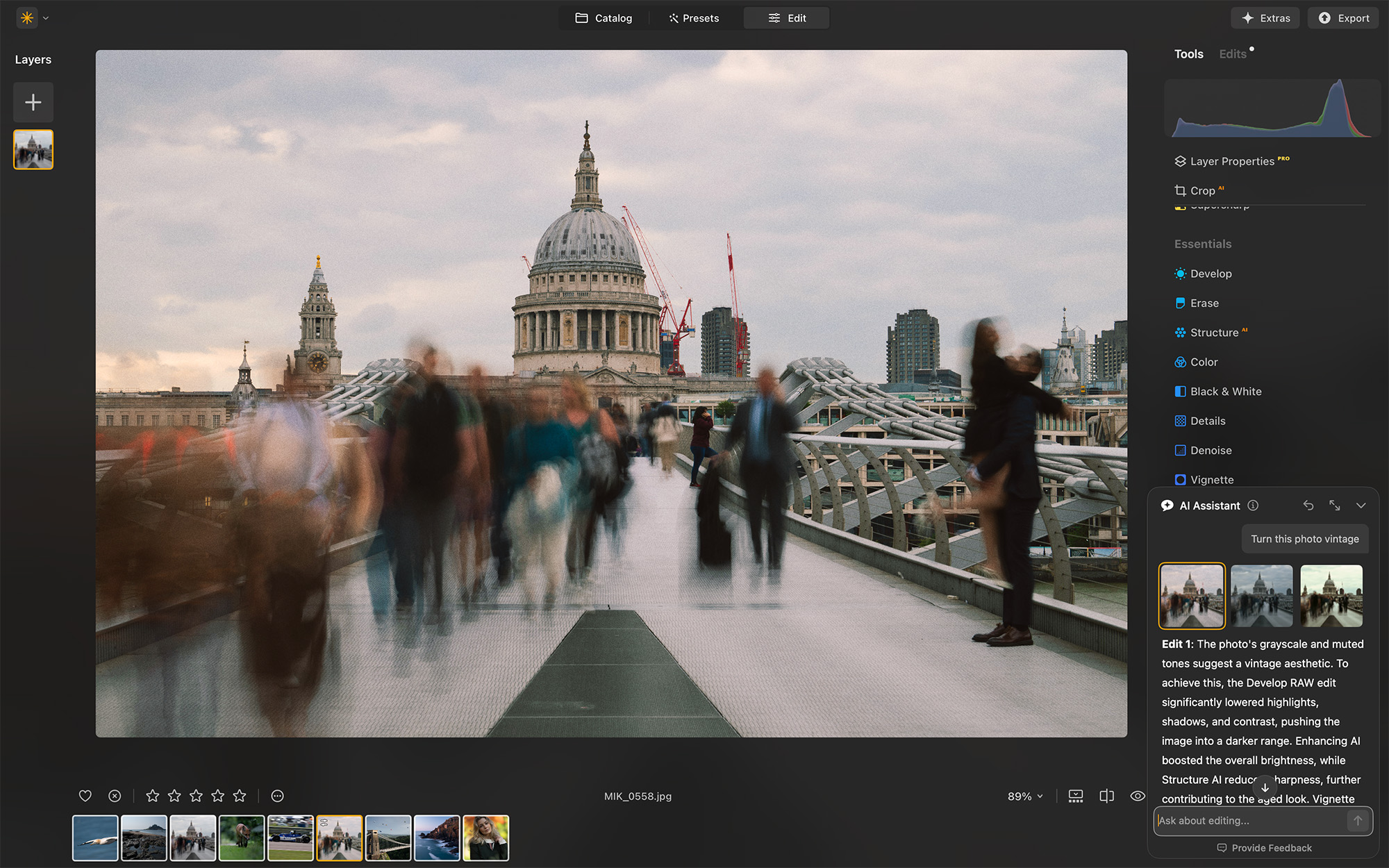 Screenshot from Luminar Neo showing AI Assistant