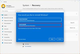 Windows 11 reset local reinstall