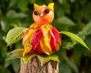Pumpkin bird character made with pinned leaves, flowers and acorns