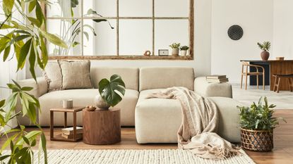 Neutral living room with plants