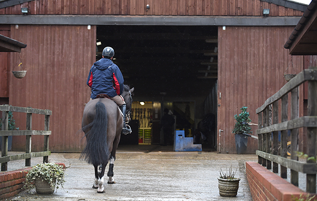 Trevor returns to the yard after riding Get Off