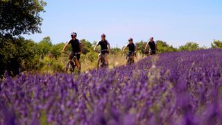 There are excellent cycling routes near the property