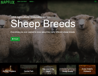 Napflix.tv