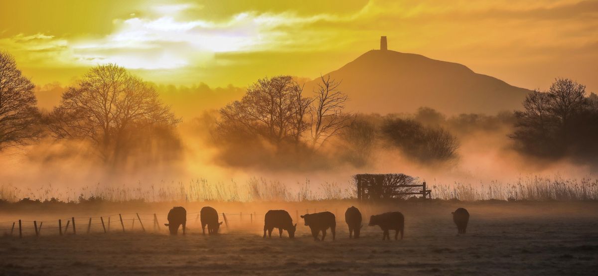 Glastonbury Tor, Somerset, UK