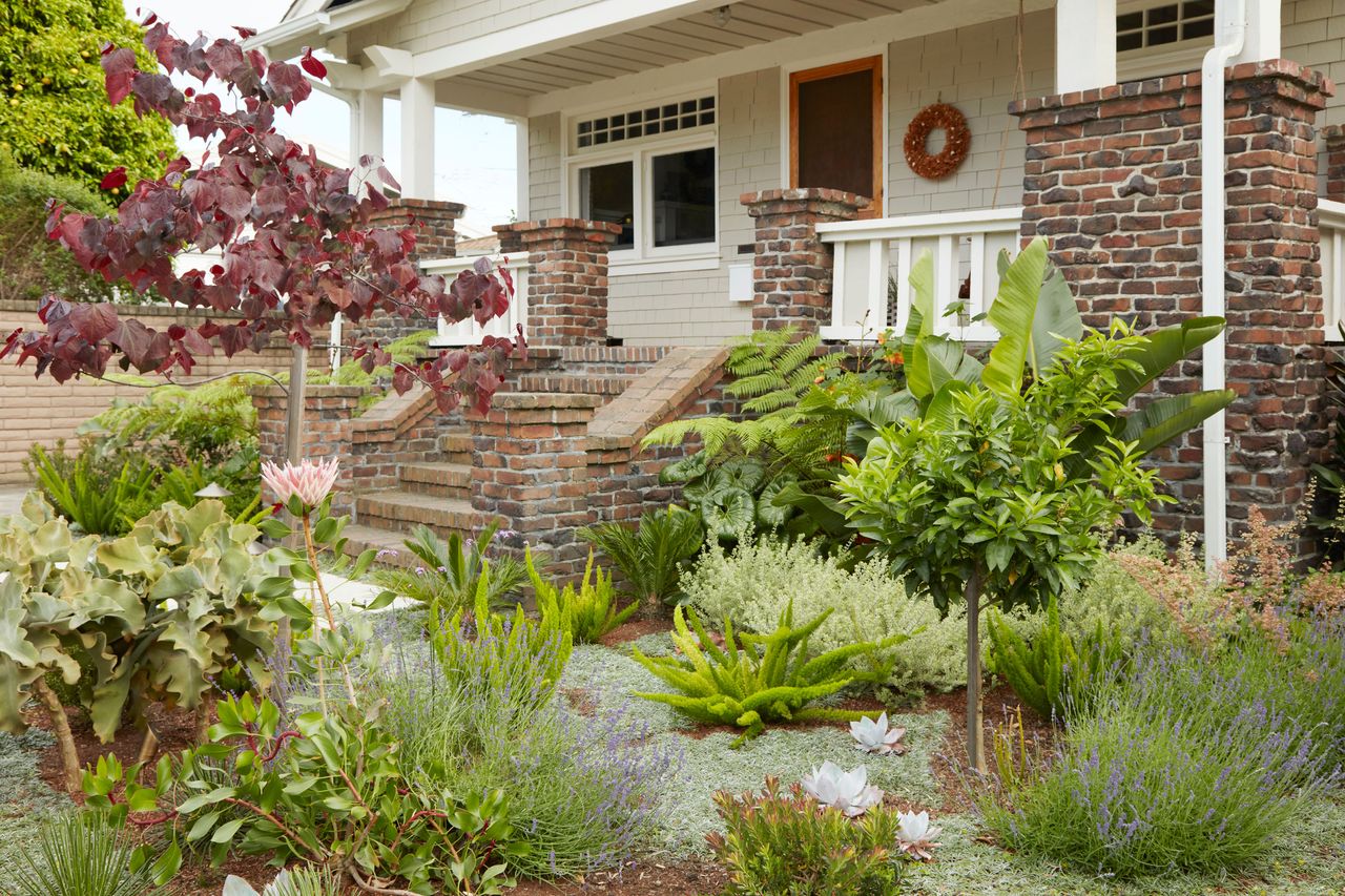 a front yard planting with edible vegetable crops