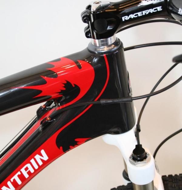 Rocky Mountain Element Team headtube.