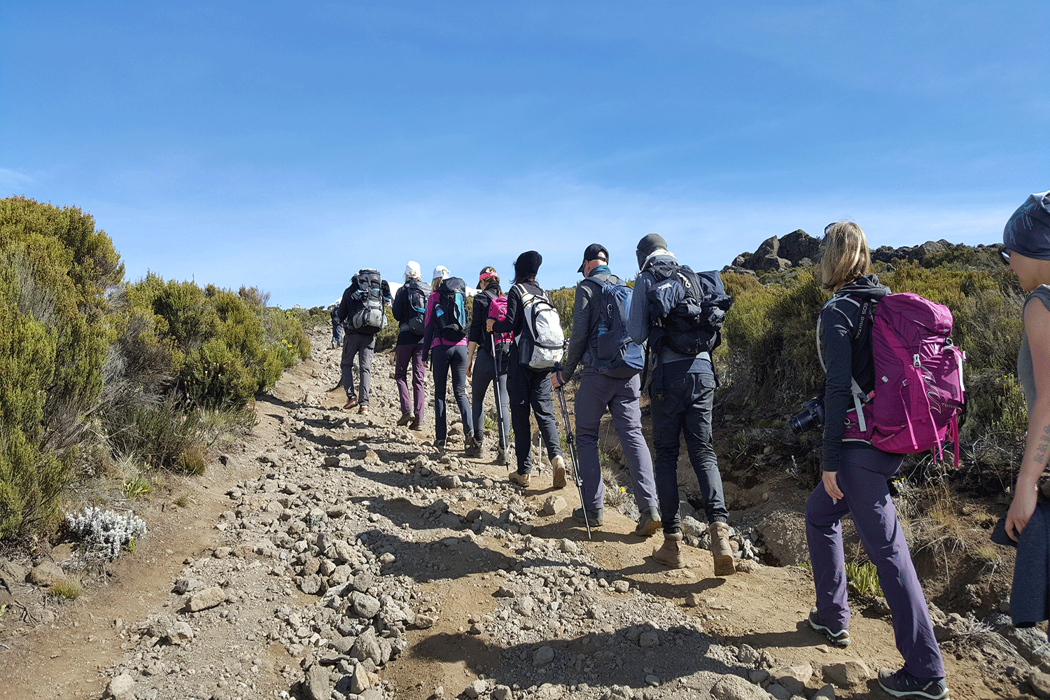 Mount Kilimanjaro