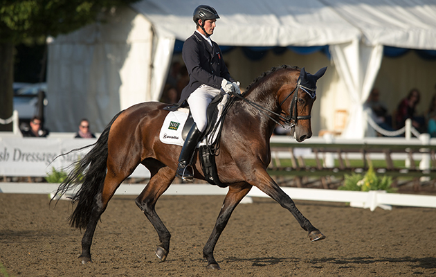 Michael Eilberg&amp;amp;Woodlander Dornroeschen - Saracen Horse Feeds Intermediare 1 Freestyle - Espayo National Dressage Championships 2013 - Stoneleigh Park, Warwickshire, United Kingdom - 21 September 2013