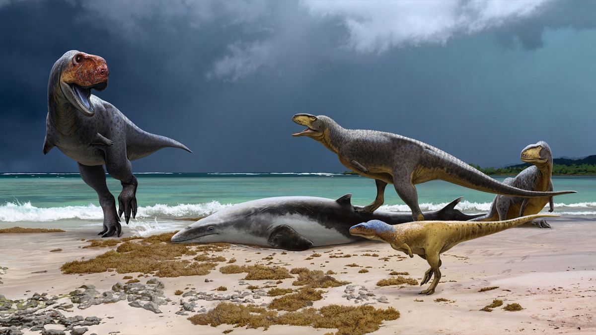 'Cut down in their prime': Dinosaurs were thriving in Africa before the asteroid hit