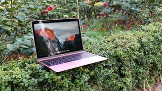 The MacBook (2016) 12-inch sat on a bush