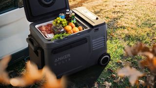 Anker SOLIX EverFrost Electric Cooler used to store food and drinks.