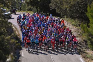 The peloton at the our de La Provence