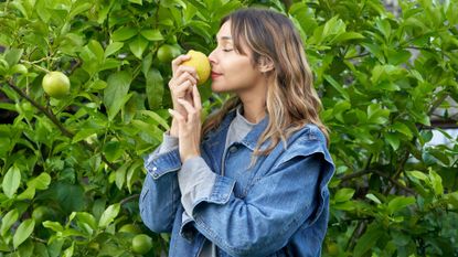 woman smelling a lemon picked from a lemon tree