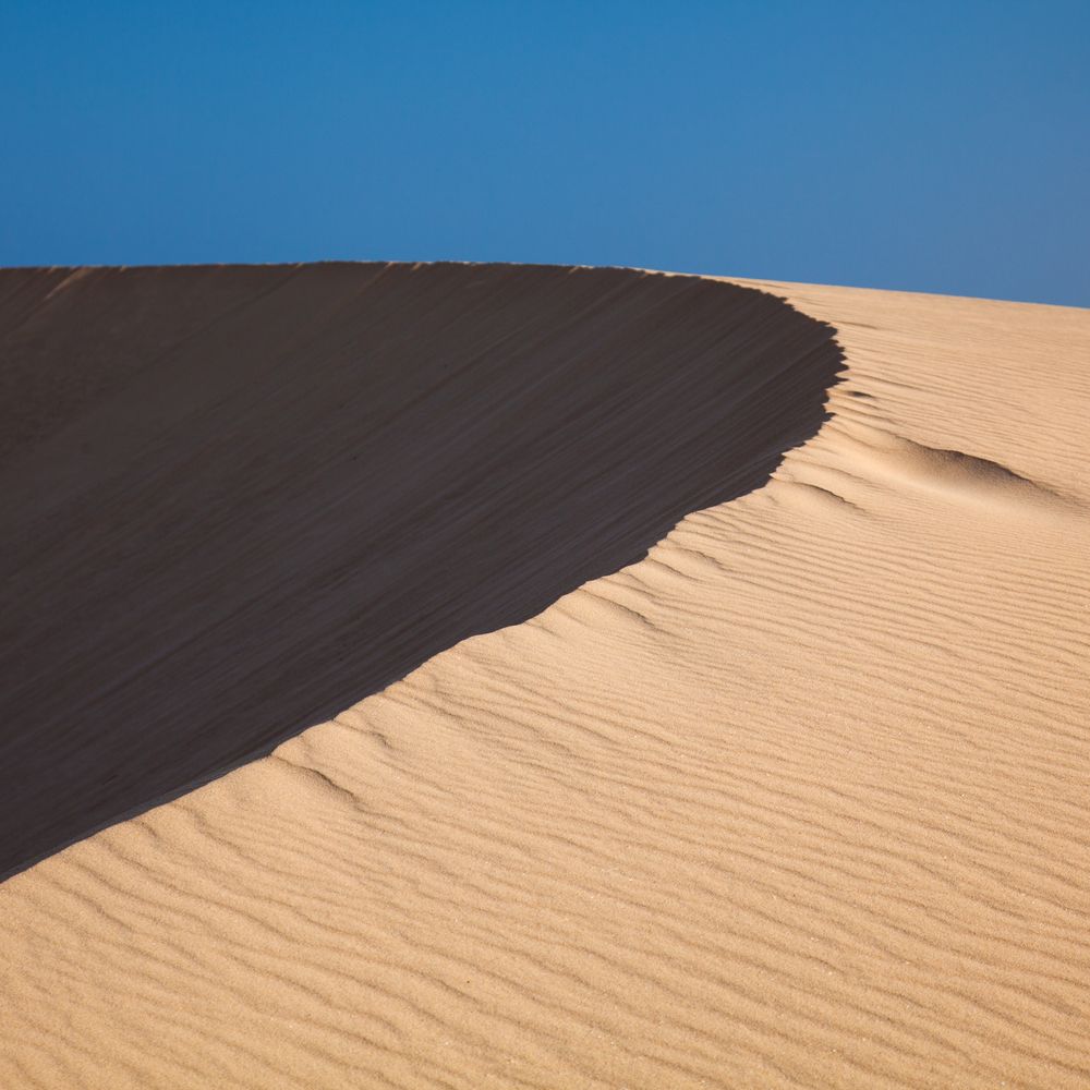 Barchan sand dune