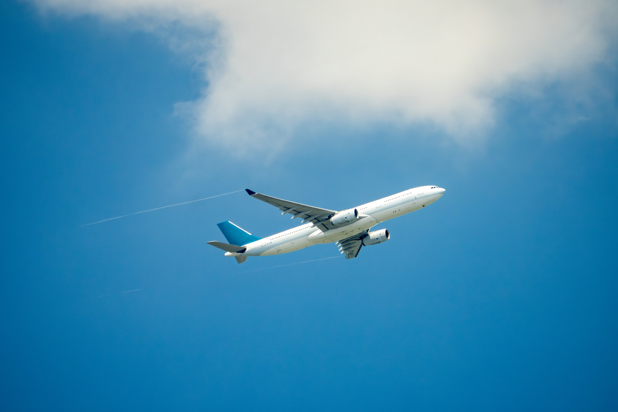 Plane in the sky