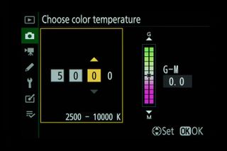 Nikon menu screen for white balance tutorial