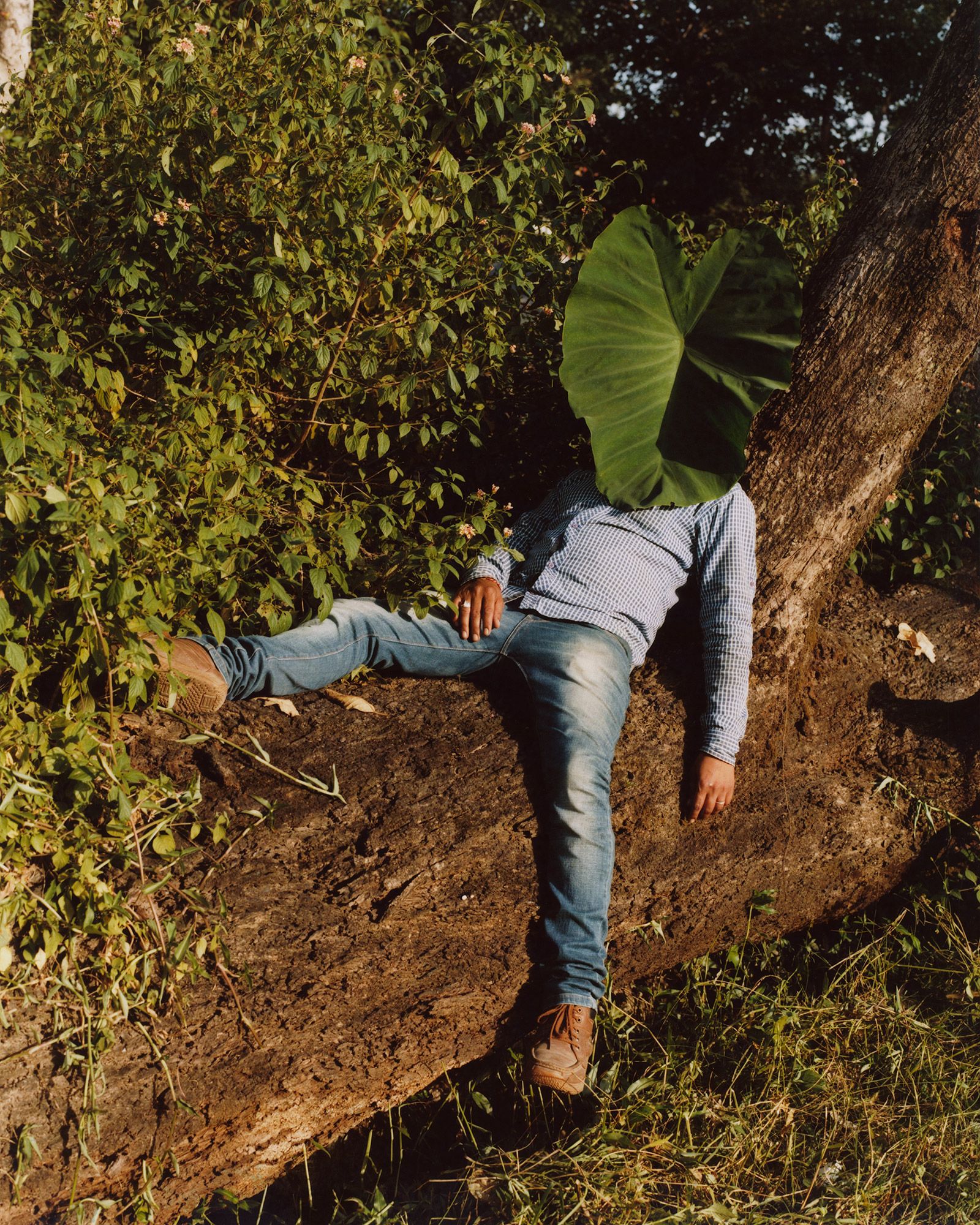 Head to head with photographer Tom Johnson | Wallpaper*