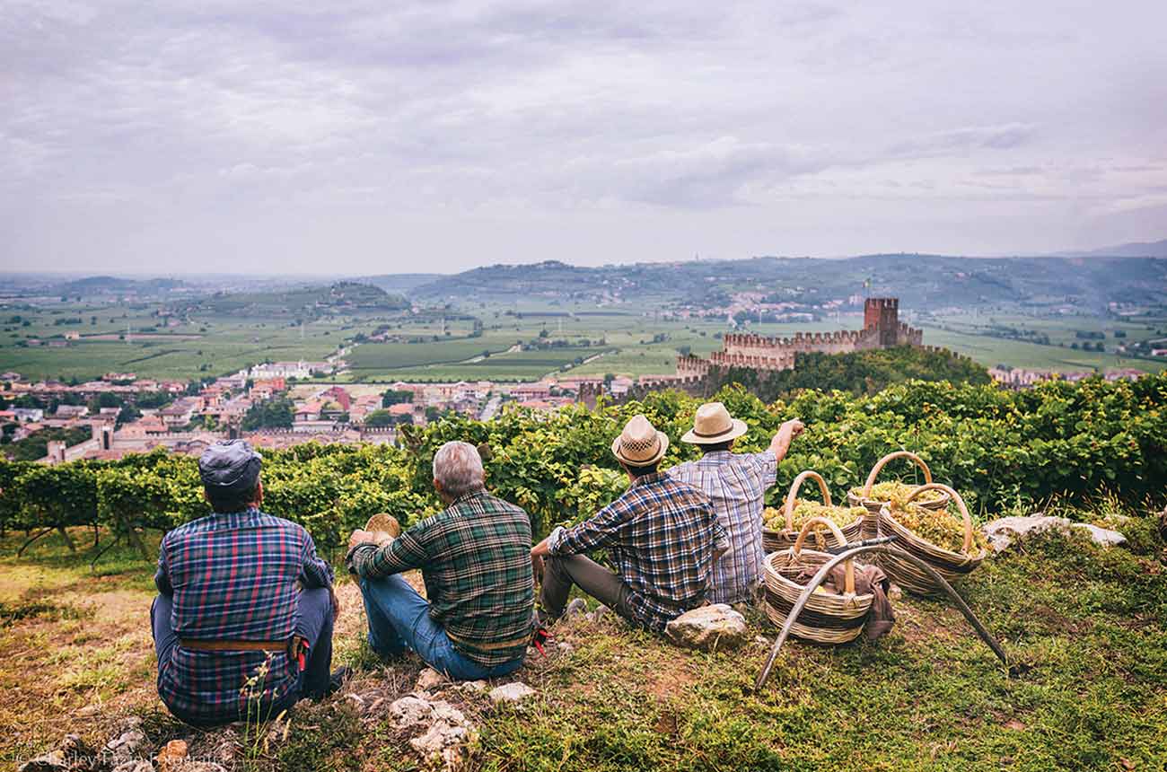 View of castle in Soave region