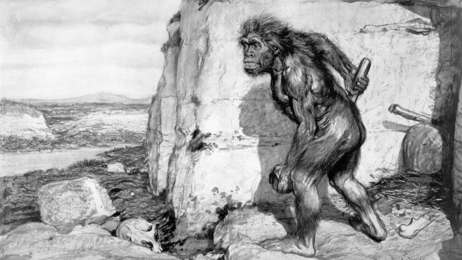 'Everything about it is weird': Neanderthals may have created giant sensory structure in lightless cave‚ says archeologist Rebecca Wragg Sykes