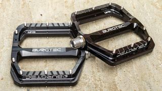A pair of MTB pedals