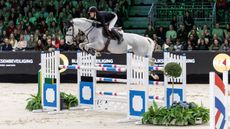 Maikel van der Vleuten jumps a clear round on Calizi during the horse swap class in &rsquo;s-Hertogenbosch in 2025.