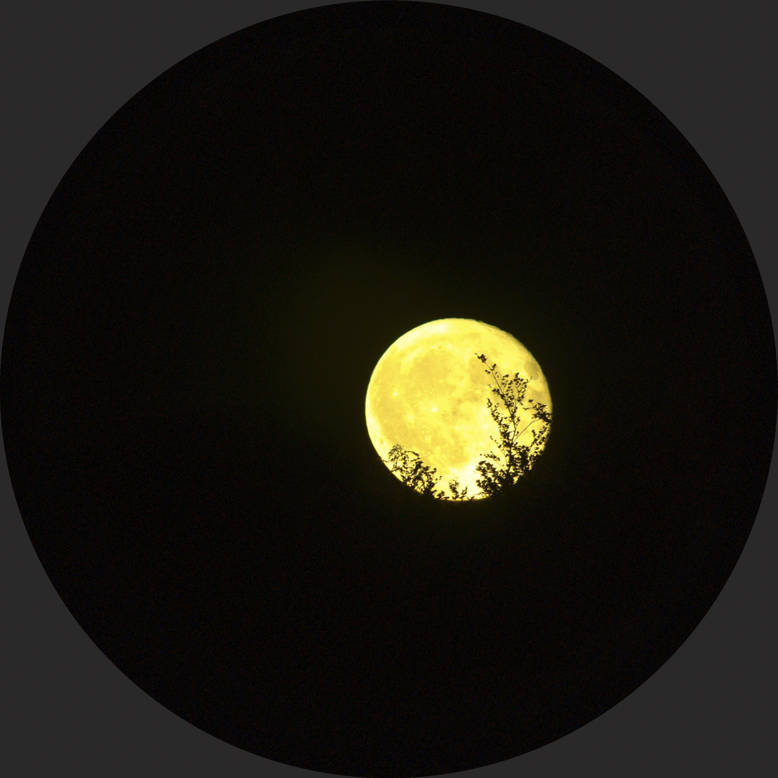 使用 Vaonis Hestia 望远镜与 Google Pixel 6 拍摄的满月特写照片