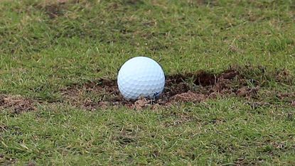 when you find your golf ball has nestled into in a divot what golfers love to hear is that it is winter rules