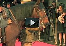 war-horse-video.jpg