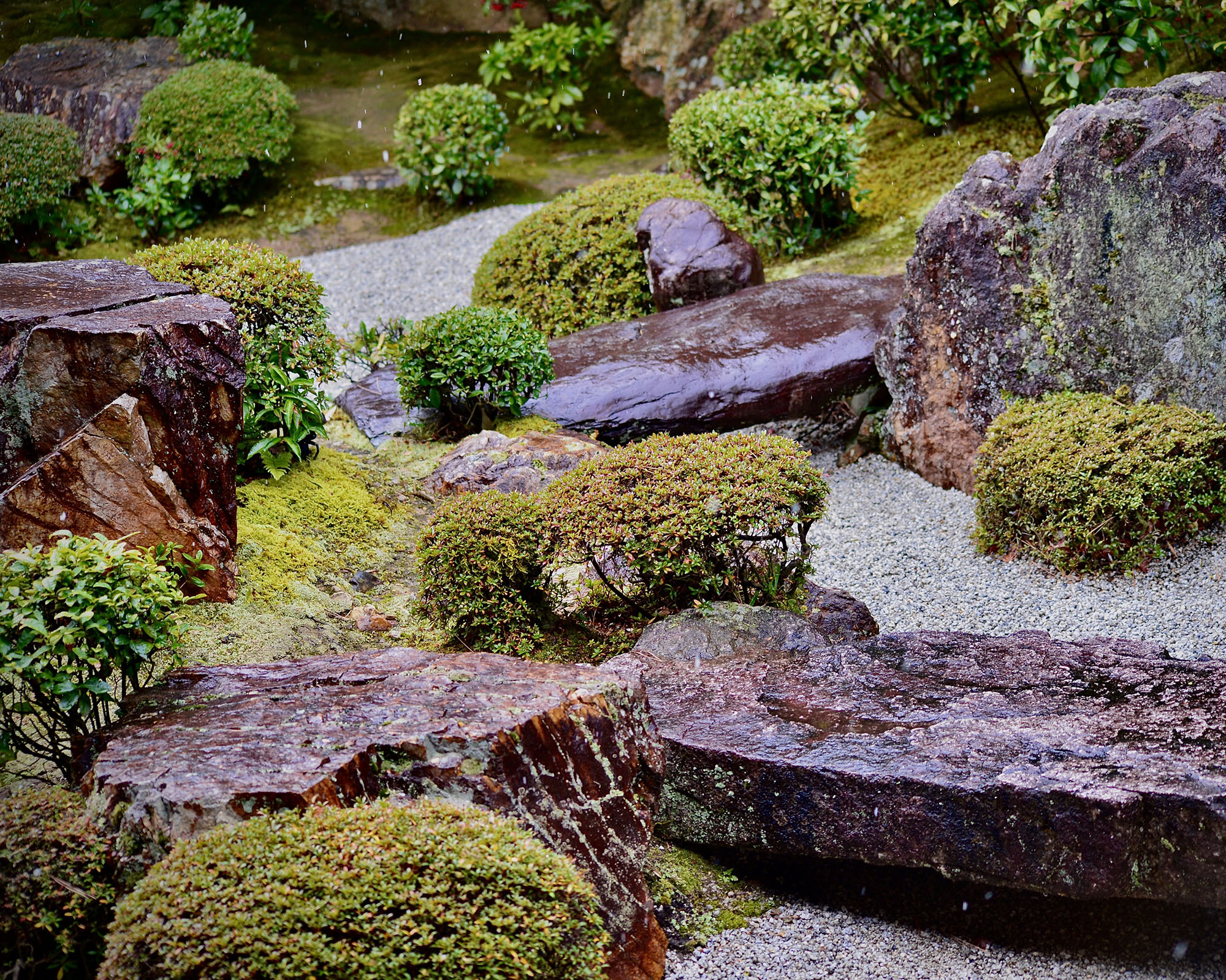 Japanese garden with moss growing on rocks