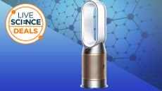 Dyson HP09 Air Purifier, against a blue background.