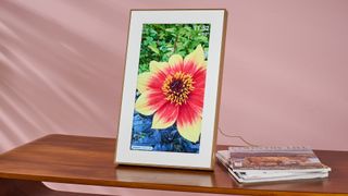 The Pexar Starlight 15.6-inch featuring a photo of a dahlia in portrait orientation on a side table in front of a pink wall.