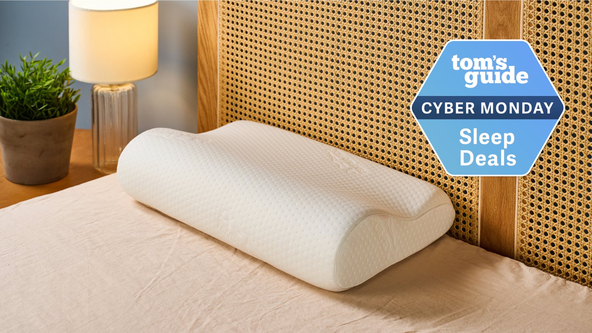 Tempur-Neck pillow in TG Sleep Studio with the CM TG Sleep deals badge on the right side