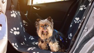 Backseat car extender — Best pet accessories