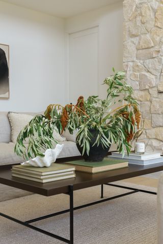 A coffee table with plant and decor