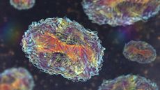 A 3D digital rendering showing the molecular structure of the monkeypox virus against a dark background